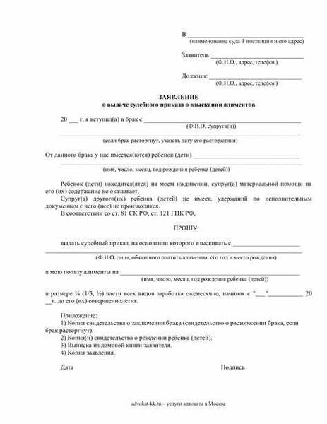 Судебный приказ: суть и последствия