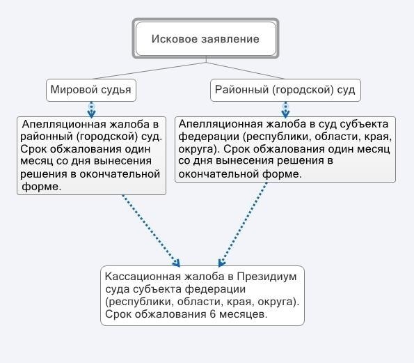 Апелляция в надзорный суд: Основные характеристики и правовая основа