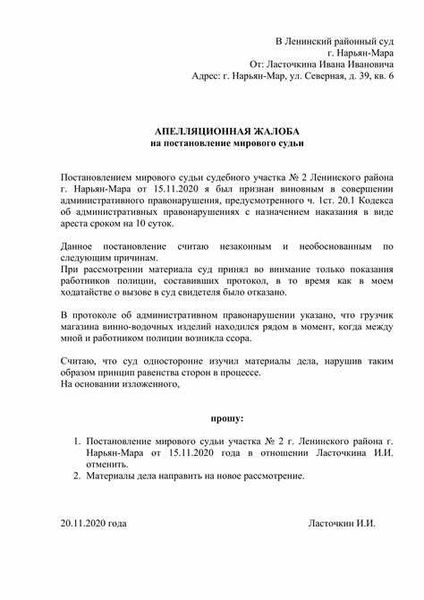 Подготовка апелляционной жалобы