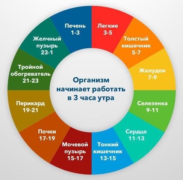 Часы работы сегодня - что нужно знать