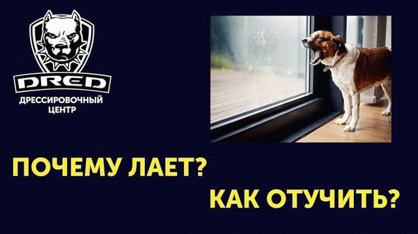 Как доказать нарушение