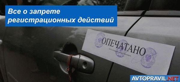 Заключение