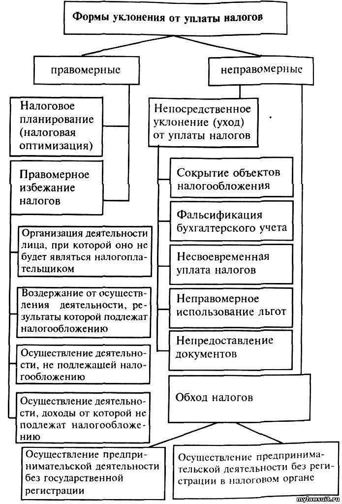 Что представляет собой уклонение от уплаты налогов или избежание уплаты налогов?