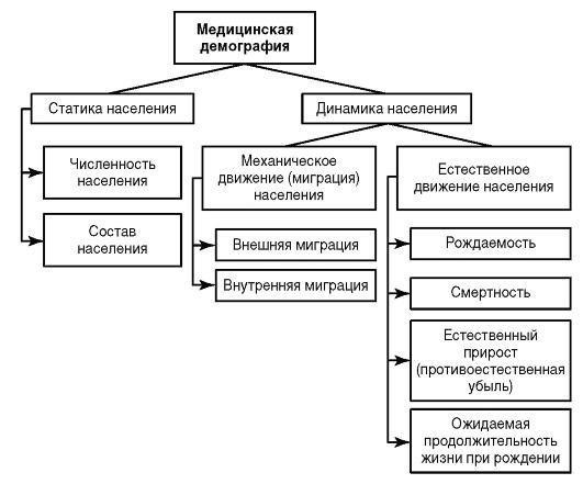 Демография и демографические тенденции