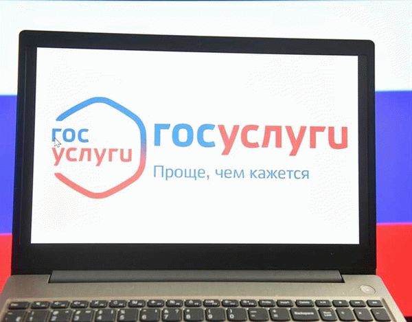 Важные сроки и документы для процедуры оплаты