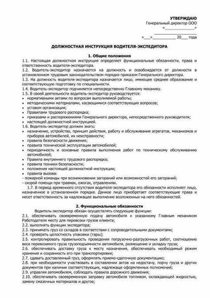 Должностная инструкция фельдшера-водителя скорой медицинской помощи: бланк, образец 2026