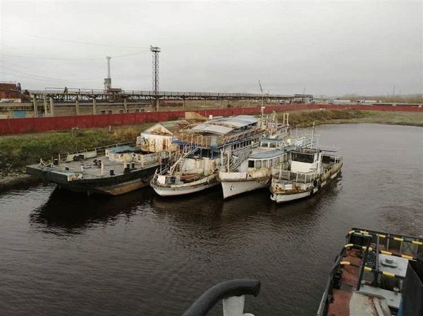 Программа и порядок сообщения