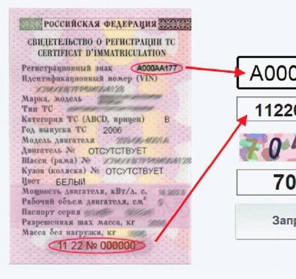 Можно ли узнать штрафы ГИБДД по СТС?