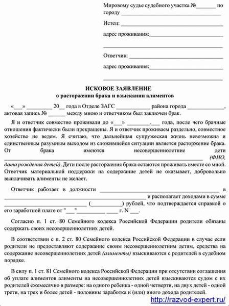 Когда можно подать на алименты в браке?