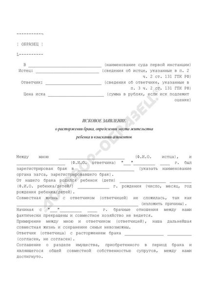 Правила составления искового заявления о месте жительства ребенка