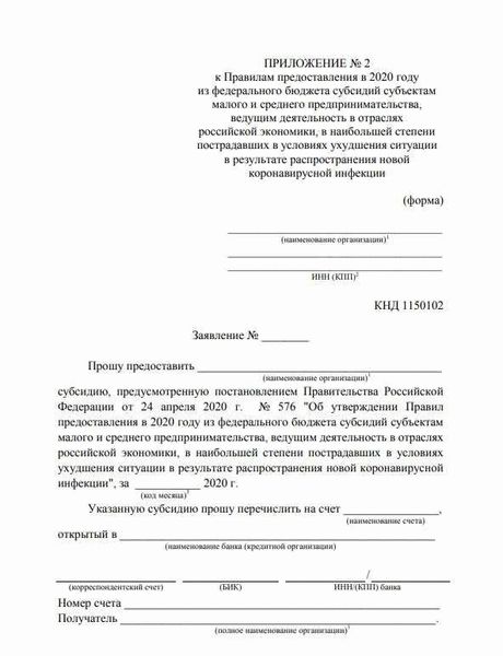 Бухгалтерский учет ИП в 2022 году: особенности