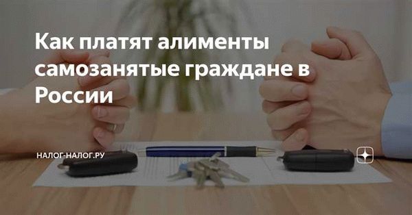 Общий порядок выплаты алиментов ИП