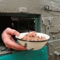 Получение данных о судебных делах