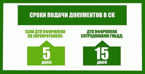 Важные сроки и документы при обращении в страховую компанию после ДТП