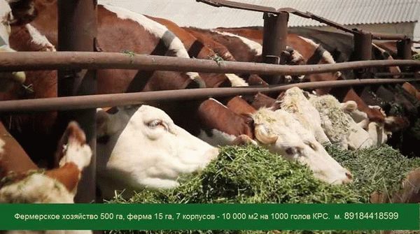 Основные причины отказа в получении бесплатного земельного участка: