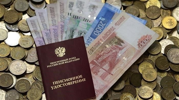 Как контролировать пенсионные взносы в Социальном фонде России (СФР)