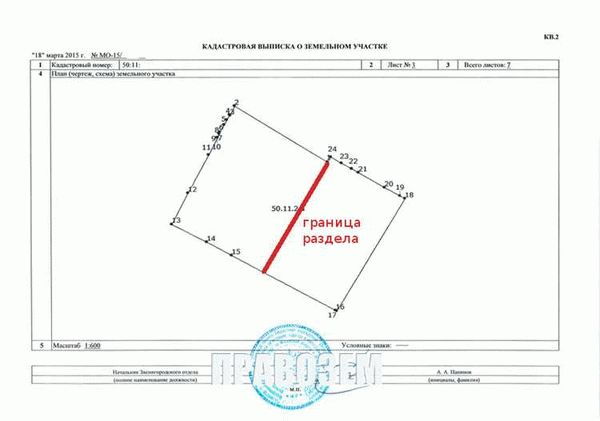 Какие аргументы адвокат может представить в суде при разделении