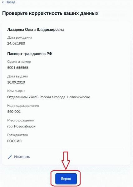 Проверка и оплата штрафов ГИБДД Скидка 50%