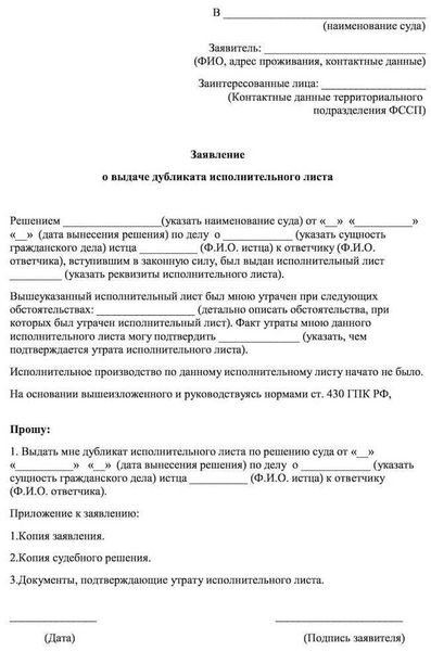  Какие документы может разъяснить суд 