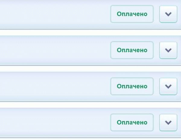 Возможности оспаривания штрафов ГИБДД