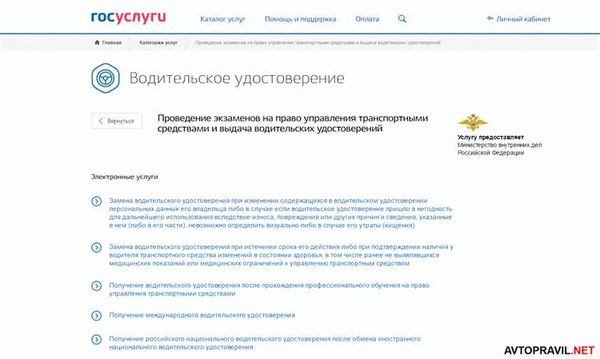 Полная информация о процессе