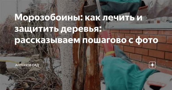 Защита от ветров и сильных осадков