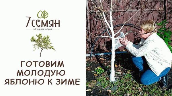 Обучение жильцов садоводству и обработке почвы