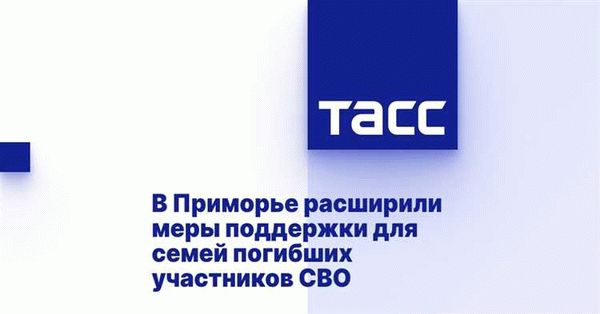 Что включает программа поддержки?