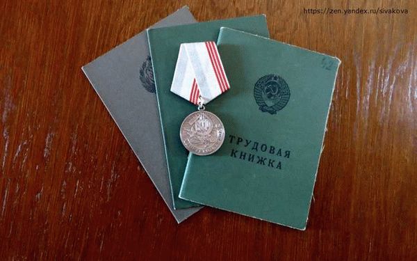 Как получить «ветерана труда» в Омской области в 2020 году
