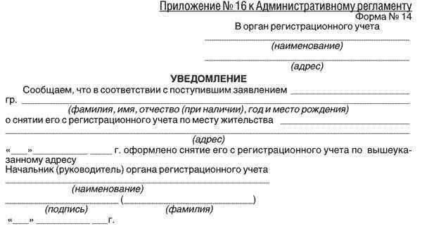 Сроки рассмотрения и результаты