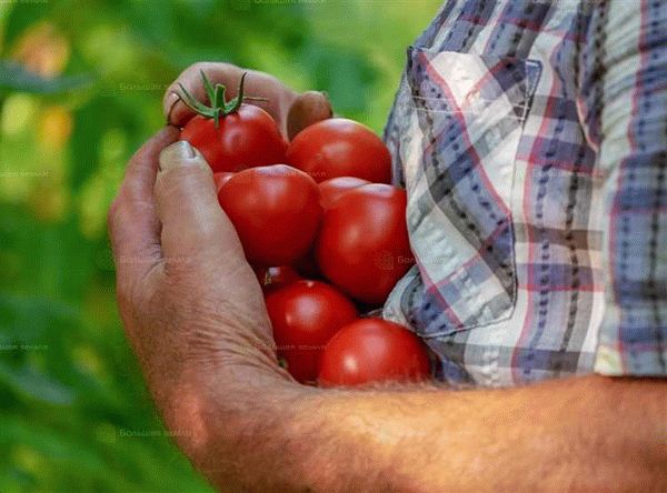 Последовательность действий Геостарт