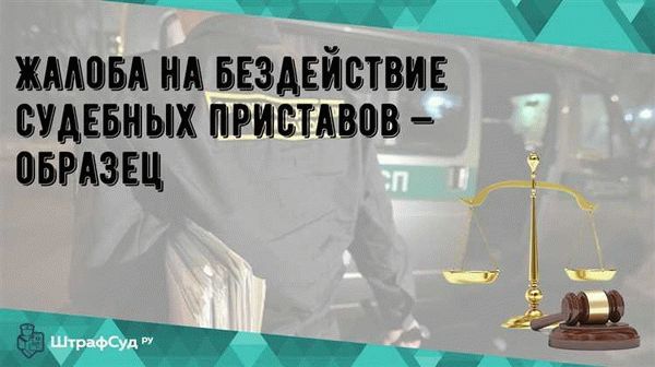 Шаги для правильного составления заявления