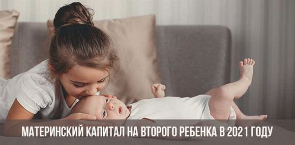 Оформление и необходимые документы