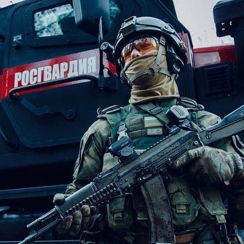 Критерии соответствия и порядок награждения орденом, выдаваемым за службу в Южном регионе