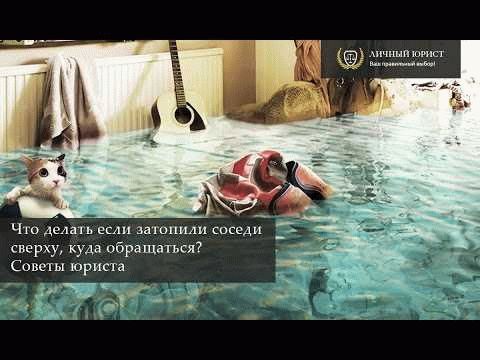 Установите причину течи и сообщите в управляющую компанию о случившемся для составления акта