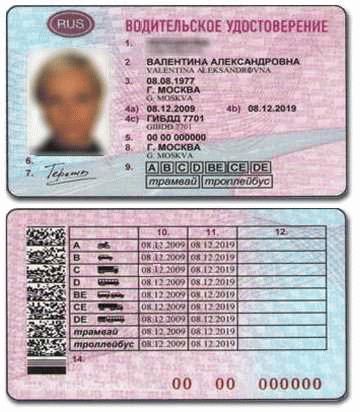 Статья 19 в Расписании болезней