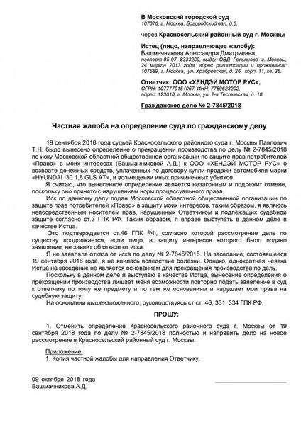 Надзорная жалоба по гражданскому делу: суть и особенности