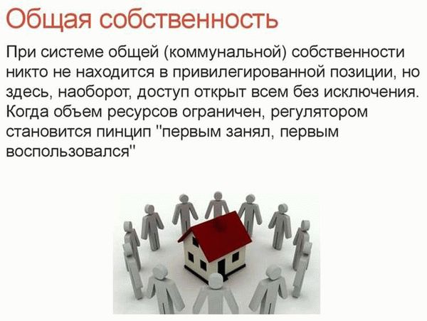 Доли в совместной собственности