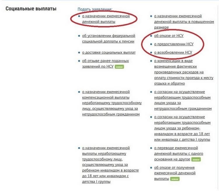 Необходимые документы для получения ежемесячной выплаты