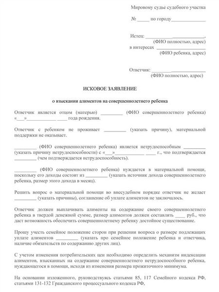 Шаги для составления искового заявления