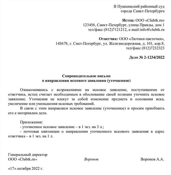 В каких случаях можно подавать дополнение