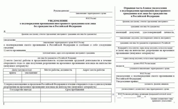 Что делать работодателю, если иностранец живет на его территории