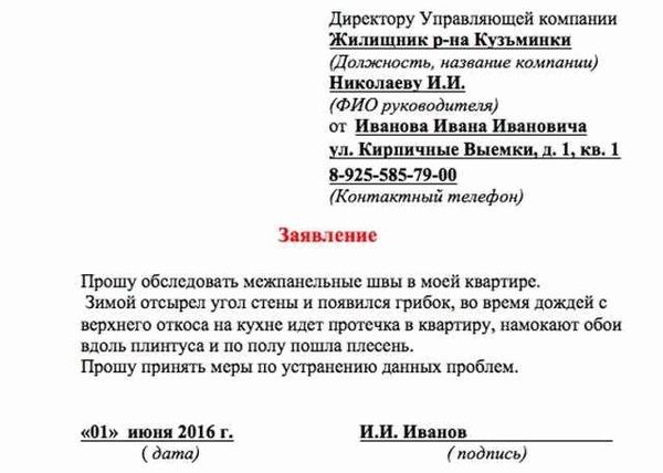 Грибок на стене в квартире: как обратиться в Управляющую компанию с жалобой
