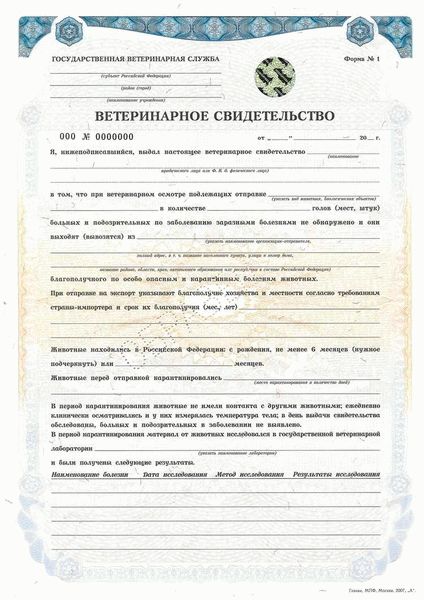Загрузить шаблон на свой компьютер