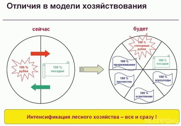 Разрешительные документы