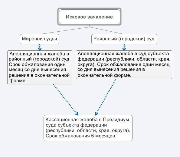 Определение оснований для подачи апелляции по делам, рассматриваемым мировым судом