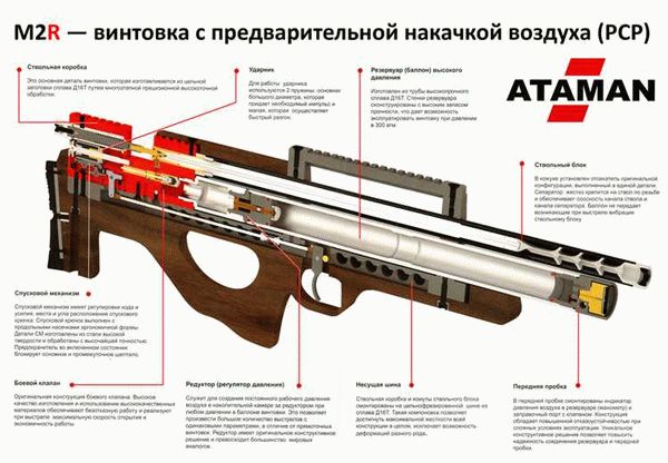 Правила приобретения пневматического оружия в России