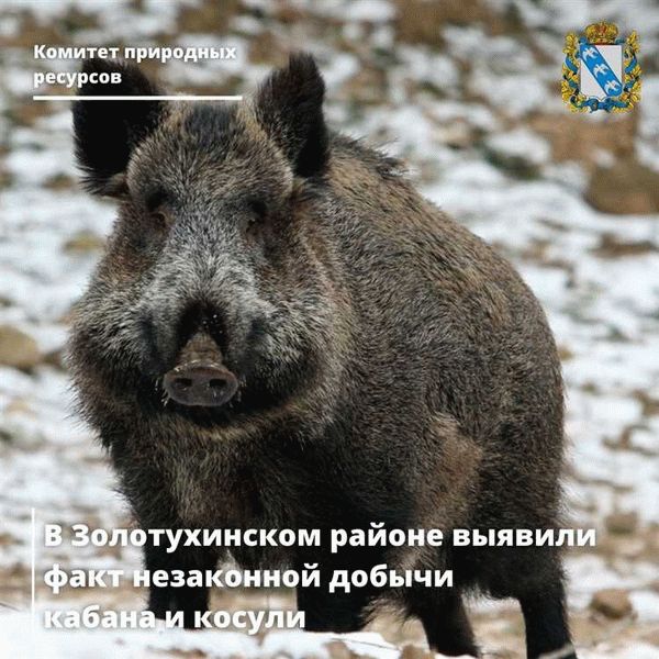 Экологические и хозяйственные аспекты
