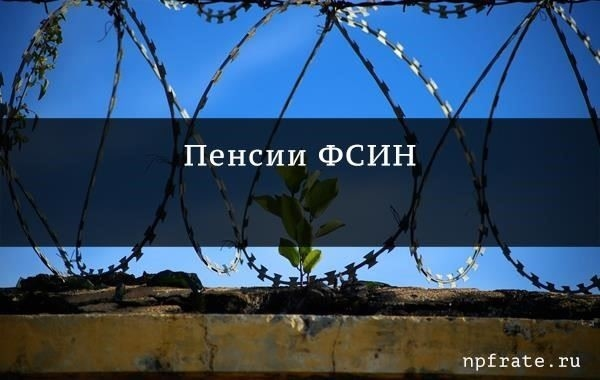 Пенсии и пособия для сотрудников MCHS в 2026 году