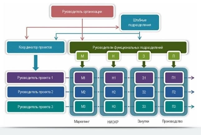 Подробный план организационной структуры и функций территориального отделения в районе